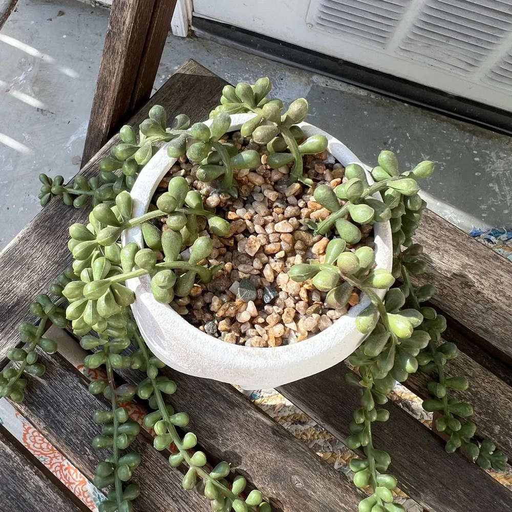Faux String of Pearls in Face Pot